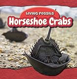 Horseshoe Crab Biography Of A Survivor Anthony D