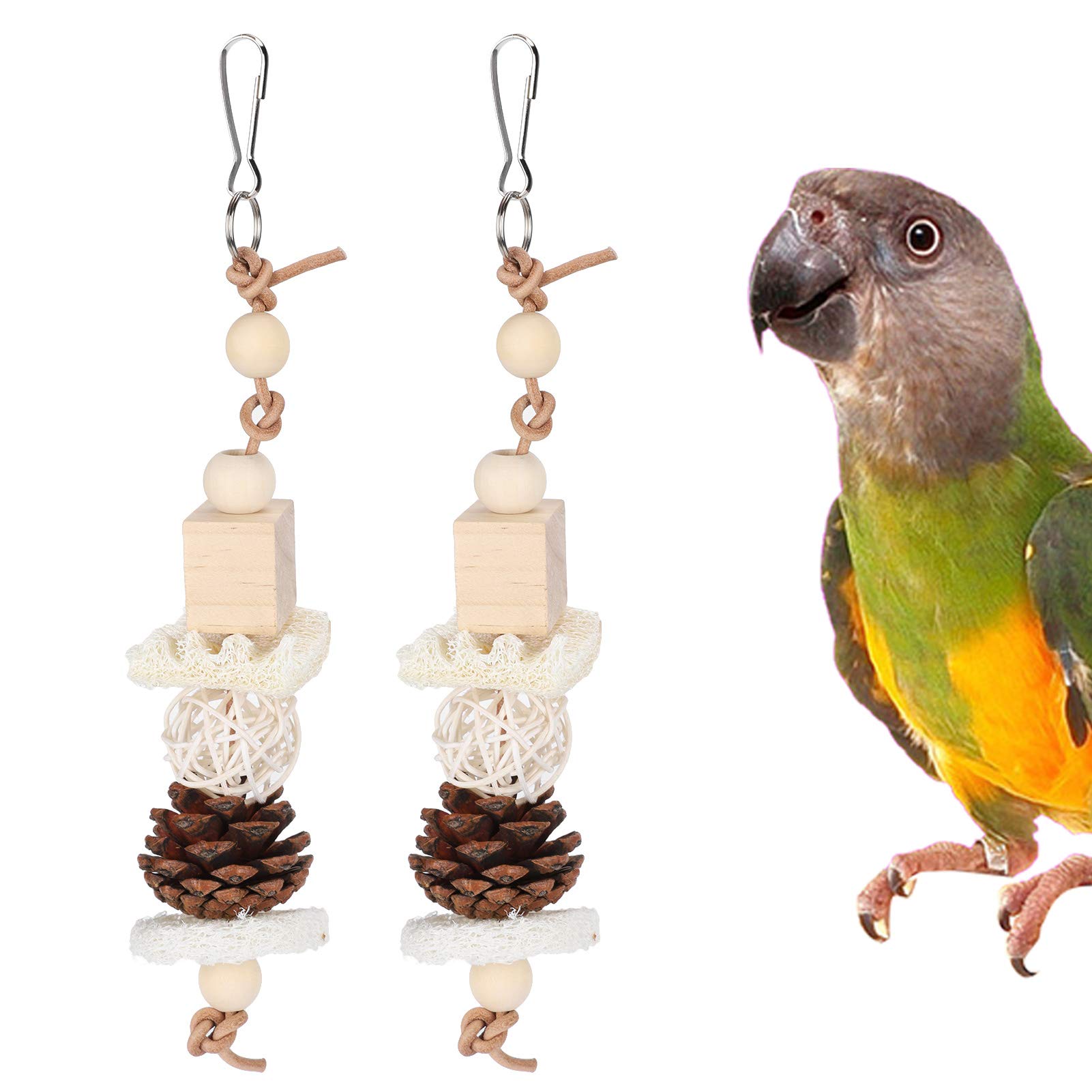 2Pcs Natural Loofah Chew Toy for Pet Bird Parrot Rattan Ball Toy for Small Parakeet Cockatiel Conures Finch Budgie Macaw Toys