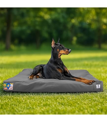 Amazon.com : Carhartt Durable Canvas Pet Bed, Water