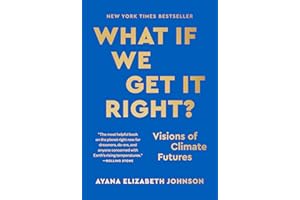 What If We Get It Right?: Visions of Climate Futures