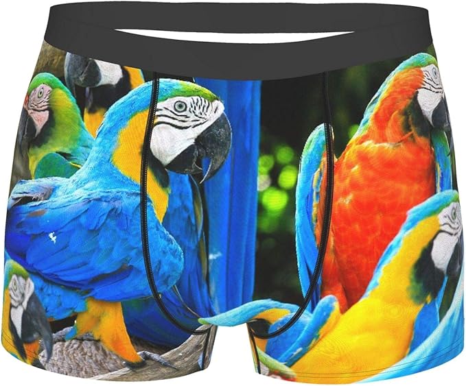 Men's Underwear, Parrots is Colorful Bird,Boxer Briefs Breathable ...