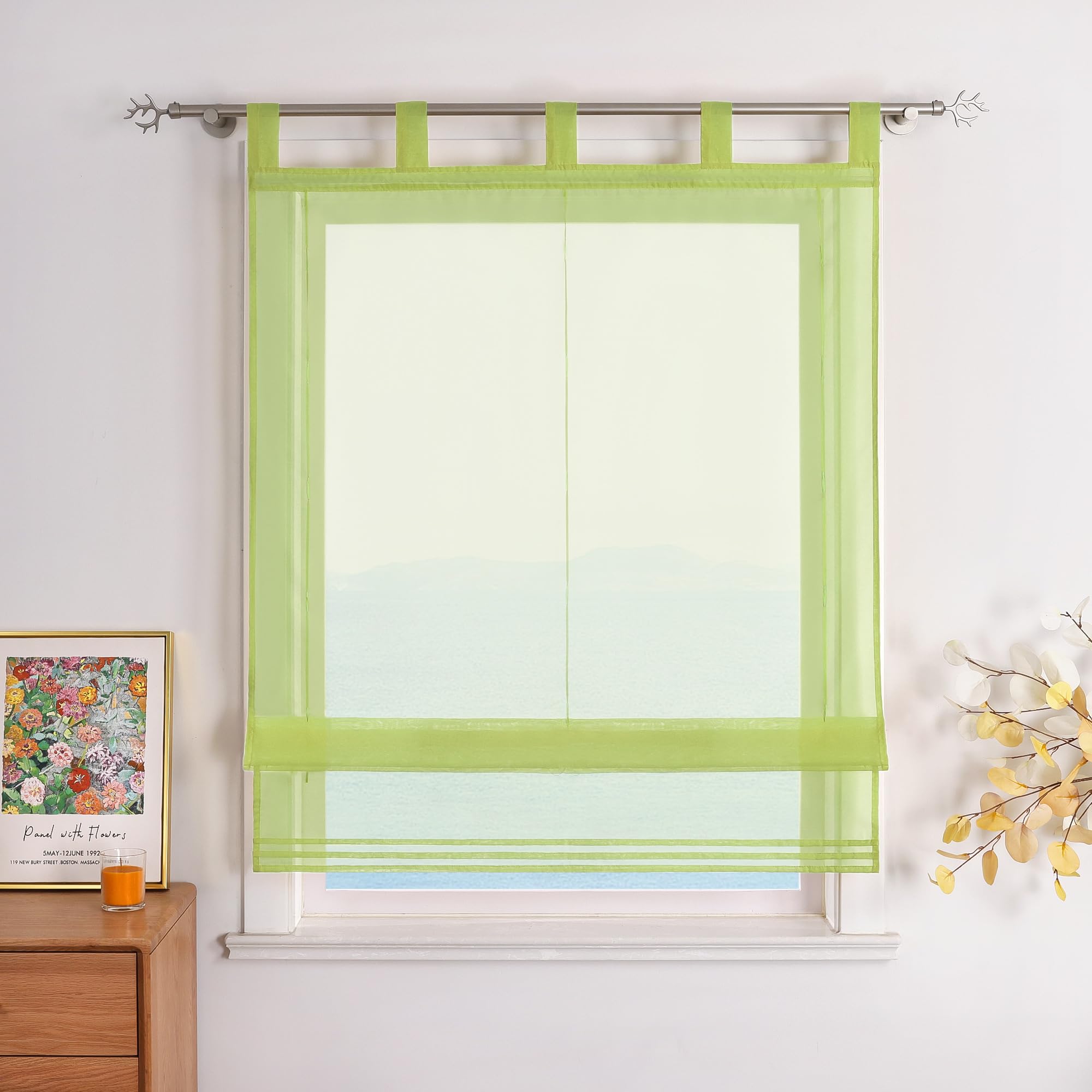 ESLIR Roman Blind with Loops, Kitchen Curtains, Transparent Tab-Top Curtains, Modern Voile Green, W x H 100 x 155 cm, Pack of 1