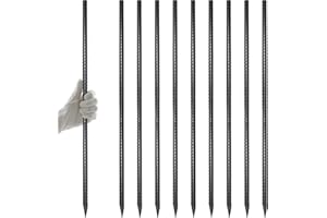 AAGUT Rebar Stakes 40 Inch 10 Pcs, 1/2" Heavy Duty Straight Ground Garden Stakes Landscpe Timber Spikes with Chisel Point End for Cement, Concrete Form, Plant Support, Black