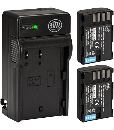 Amazon.com : LCD Micro USB Battery Charger for Panasonic Lumix DMC