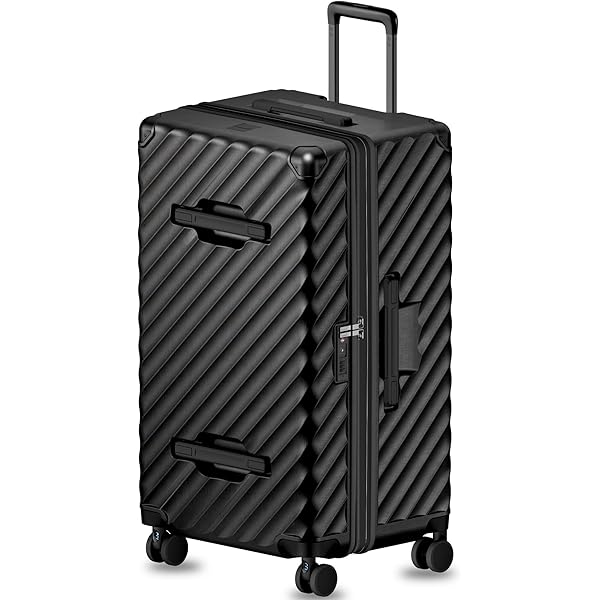Amazon.com | LUGGEX Checked Suitcase with Spinner Wheels, 8010S