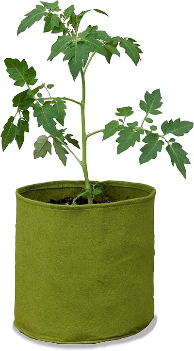 Haxnicks Medium Vigoroot Plant Pots 10L Green - Stronger Roots & Plants