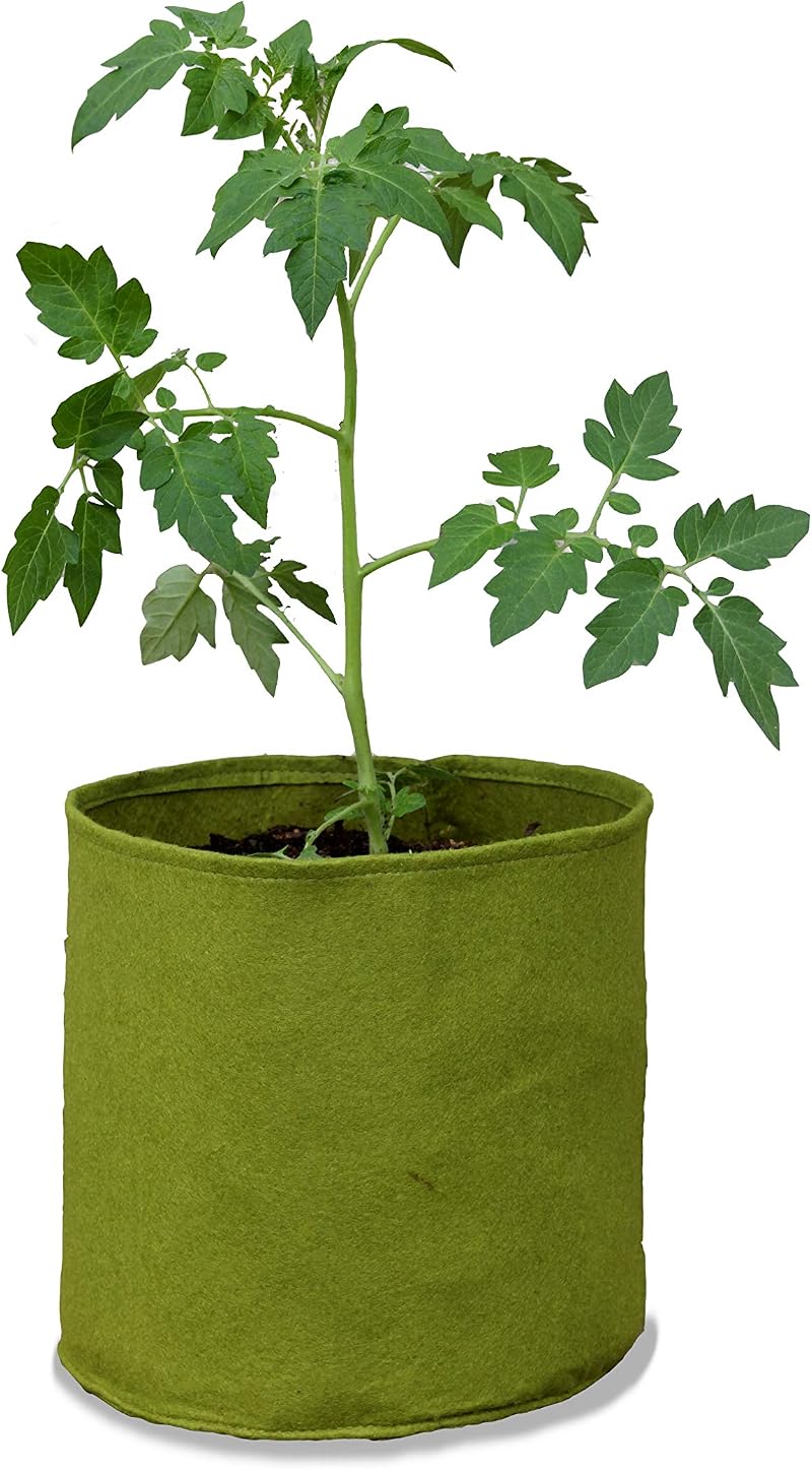 Haxnicks Medium Vigoroot Plant Pots 10L Green - Stronger Roots & Plants