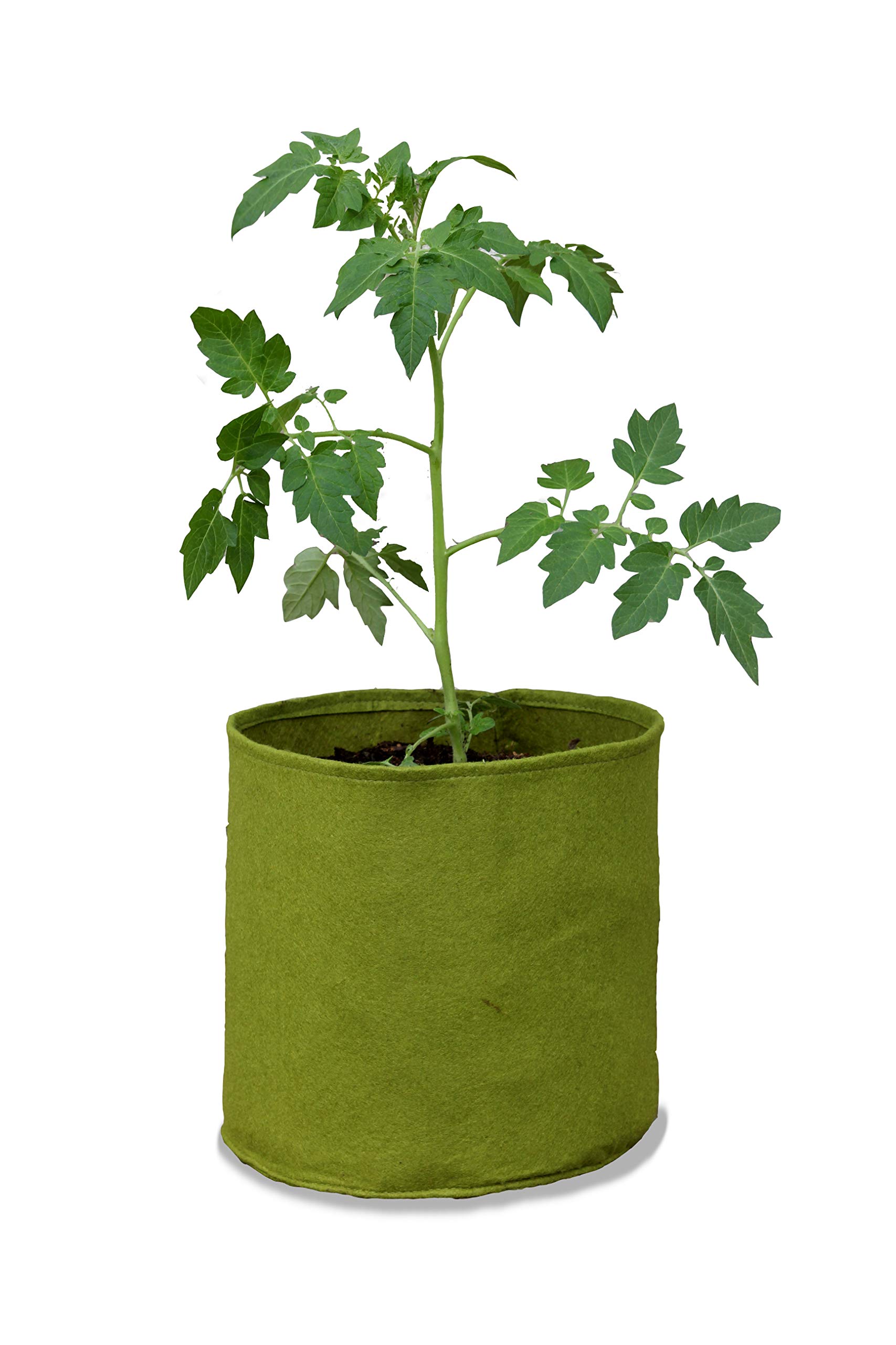 Haxnicks Medium Vigoroot Plant Pots,Special Garden Fabric Needs Less Compost | Better Roots | Stronger Plants | Up To 30% Higher Yield | Capacity 10L Green | VIG090101