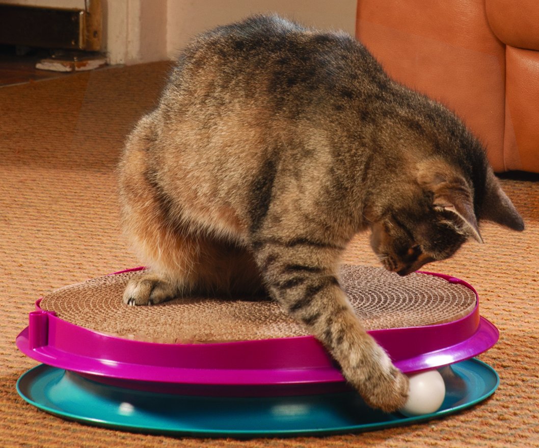 Bergan Turbo Track Mega Turbo Cat Toy Bergan Mega Turbo Scratcher