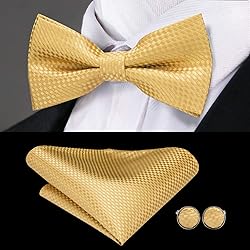 Hi-Tie Gold Yellow Tie Pre-Tied Bow tie 5pc Sets