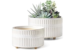 LE TAUCI Succulent Planters, 6.5+8 Inch Ceramic Indoor Plant Pot with Drainage Hole, Shallow Round Succulent Pots, Set of 2, Reactive Glaze White