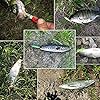 JSHANMEI-10pcs-Plastic-Hard-Minnow-Fishing-Lures-Bait-Life-like-Swimbait-Bass-Crankbait-for-PikesTrout-WalleyeRedfish-Tackle-with-3D-Fishing-Eyes-Strong-Treble-Hooks