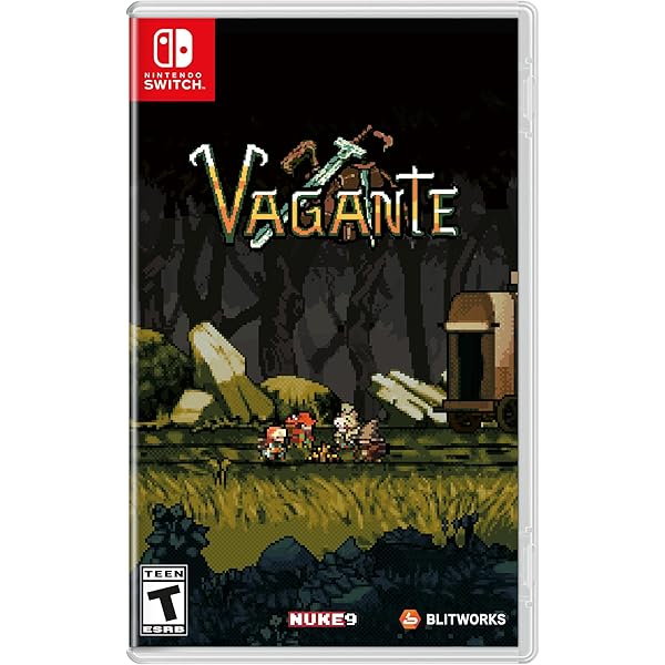 Amazon.com: Sword of the Vagrant - Nintendo Switch : Everything Else
