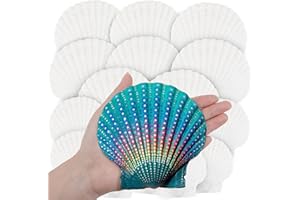 OOOFAYE 18PCS White Large Scallop Purely Natural Seashells 4-5in and Medium Shells 2-3in for Crafting, Scallop Shells Bulk for Beach Wedding Decorations, Ocean Seashell Party Decorations, Cooking or Painting