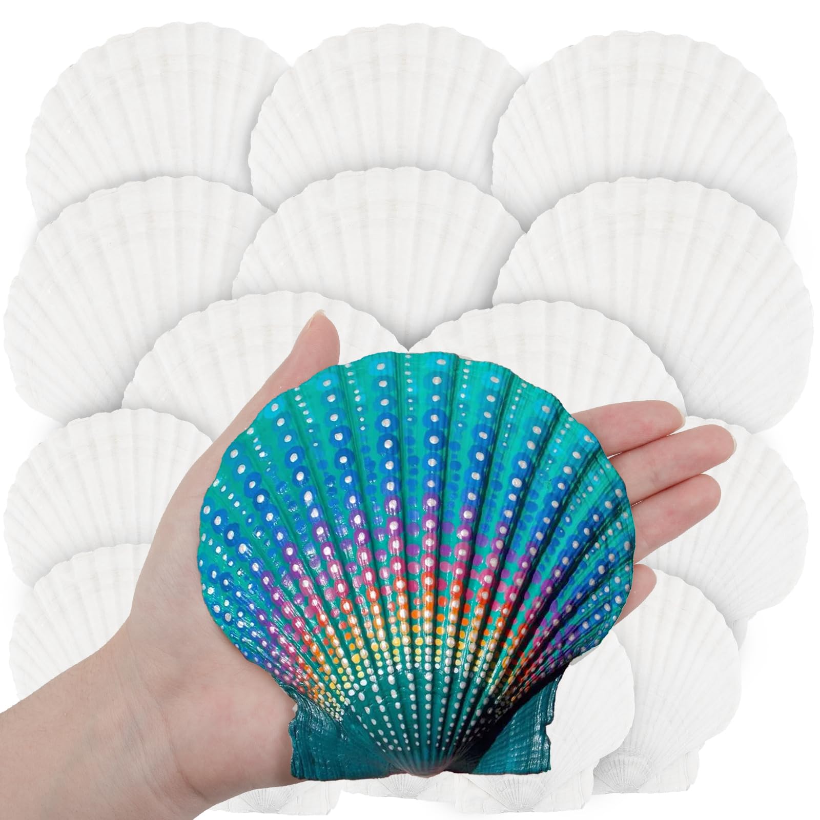 Photo 1 of 18PCS White Large Scallop Purely Natural Seashells 4-5in and Medium Shells 2-3in for Crafting, Scallop Shells Bulk for Beach Wedding Decorations, Ocean Seashell Party Decorations, Cooking or Painting
