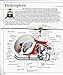 Ultimate Visual Dictionary