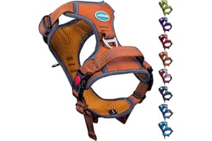 ThinkPet Halloween's Day No Pull Harness Breathable Sport Harness with Handle-Dog Harnesses Reflective Adjustable for Medium Large Dogs,Back/Front Clip for Easy Control L Orange