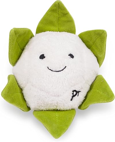 Petface Foodie Faces Cauliflower Plush Dog Toy with Squeaker