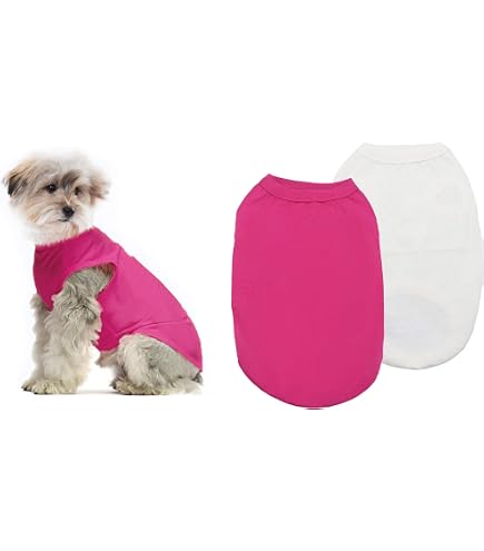 Petitebella Davidstern Hundeshirt – Weiß, Größe S, Für Kleine Hunde 1,8–3,6 Kg