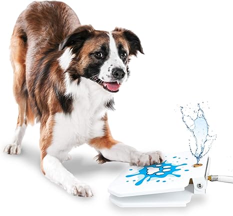 Pet Supplies Goodboy Water Fountain For Dogs Interactive Paw
