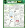 Microsoft Excel 365 Advanced