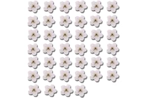 JUROICESSRY 40Pcs White Forget Me Not Flowers Dried Pressed Flowers for Resin,Candle,Epoxy Resin,Soap Making,Scrapbooking,DIY Art Crafts?Papermaking Supplies