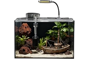 AQUA DAREN 2.5 Gallon Fish Tank Starter Kits, with Led Light, Filter Pump, Cover, Small Fish Tank Betta Aquarium (30x18x20CM)