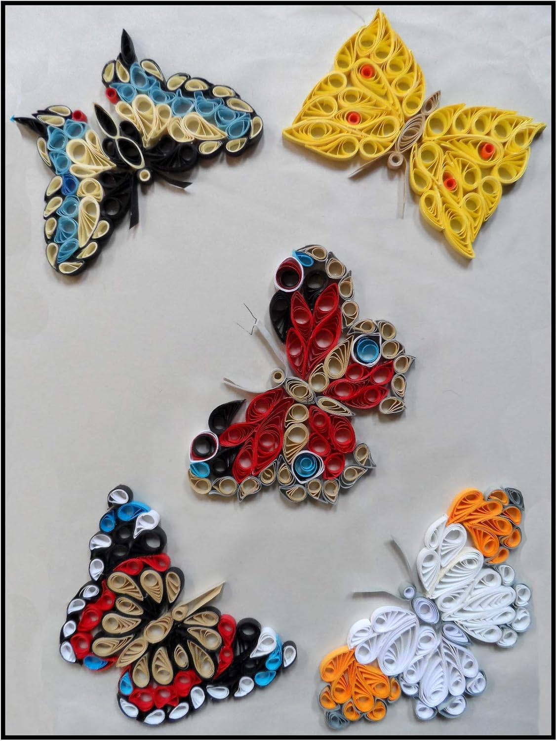 Quilling Kit Quilling Designs for Butterflies Amazon.co.uk Kitchen