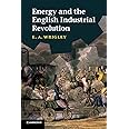 Energy and the English Industrial Revolution