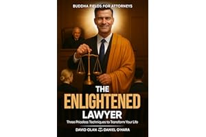 The Enlightened Lawyer: Three Priceless Techniques to Transform Your Life