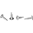 #8 x 3/4" Phillips Modified Truss Head Self-Drilling Tek Screw, Zinc-Plated Steel for Sheet Metal Attaches Wire Lath to Metal Studs - Pack of 100