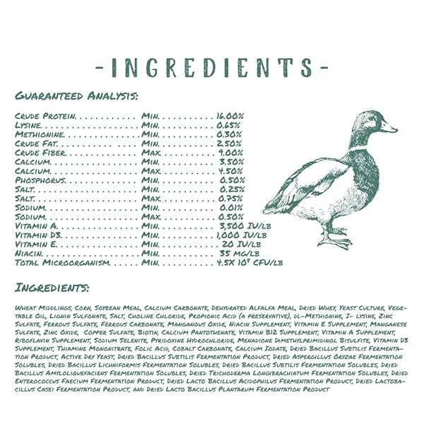 MANNA PRO DUCK AND GOOSE LAYER FEED – HIGH PROTEIN PELLETS FOR EGG PRODUCTION – FORMULATED WITH PROBIOTICS TO SUPPORT DIGESTIVE HEALTH IN DUCKS AND GEESE – POULTRY LAYER PELLETS – 8 LB BAG