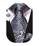 Hi-Tie Silk Paisley Ties for Men Necktie Pocket