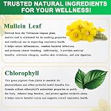 zoxpm Mullein Drops for Lungs 60ML Mullein Leaf Extract 30:1 2800MG view 7