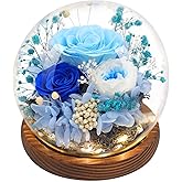 Eyesofspring Preserved Flowers,Rose in Glass Dome with LED Light, Gifts for Her, Women, Mom,Grandma,Girlfriend, Wife - Style6