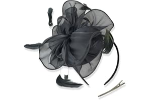 DRESHOW Fascinators Hat Tea Party Headwear Ribbons Feathers on a Headband and a Clip for Women