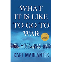 What It Is Like to Go to War book cover
