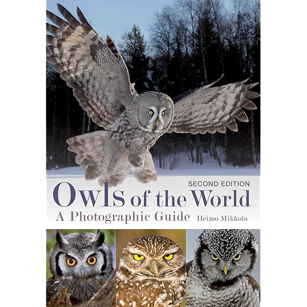 Owls of the World: König, Claus, Weick, Friedhelm, Becking