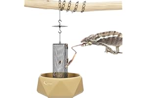Fischuel Chameleon Feeding Bowl, Hanging Insect Feeder with a Pillar for Prey to Climb Up, Suitable for Chameleon, Bearded Dragon, Lizard, Iguana, Gecko(Khaki)