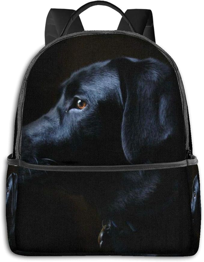 School Daypack Backpack, Large Capacity Rucksack for Camping Picnic