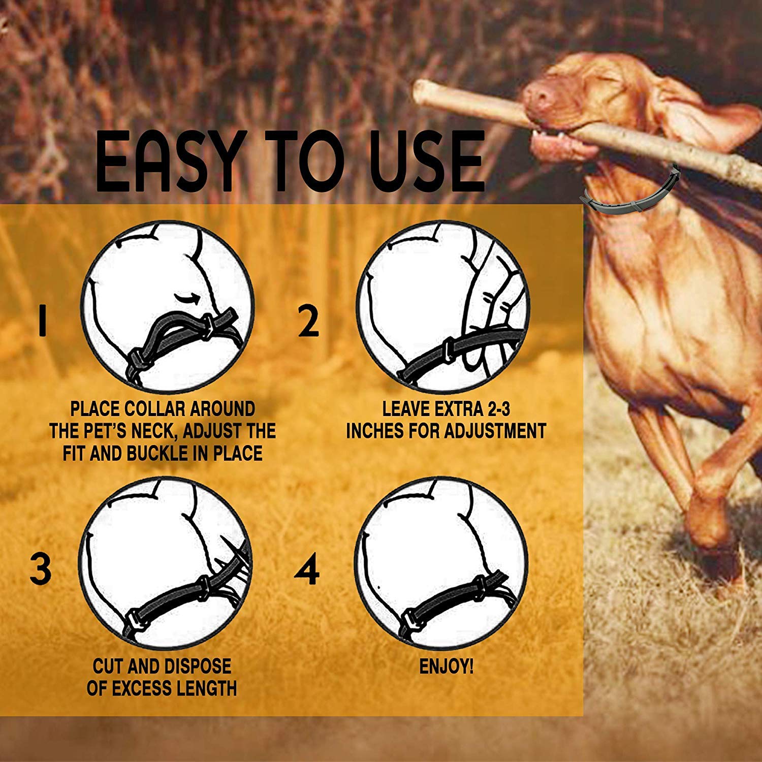 rokey flea collar for cats