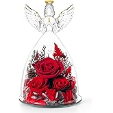 AIMEYE Valentines Day Roses Gifts for Women,Preserved Real Flowers Roses in Glass Angel Figurines,Valentines Day Gifts for Women Mom Wife Girlfriend./Red