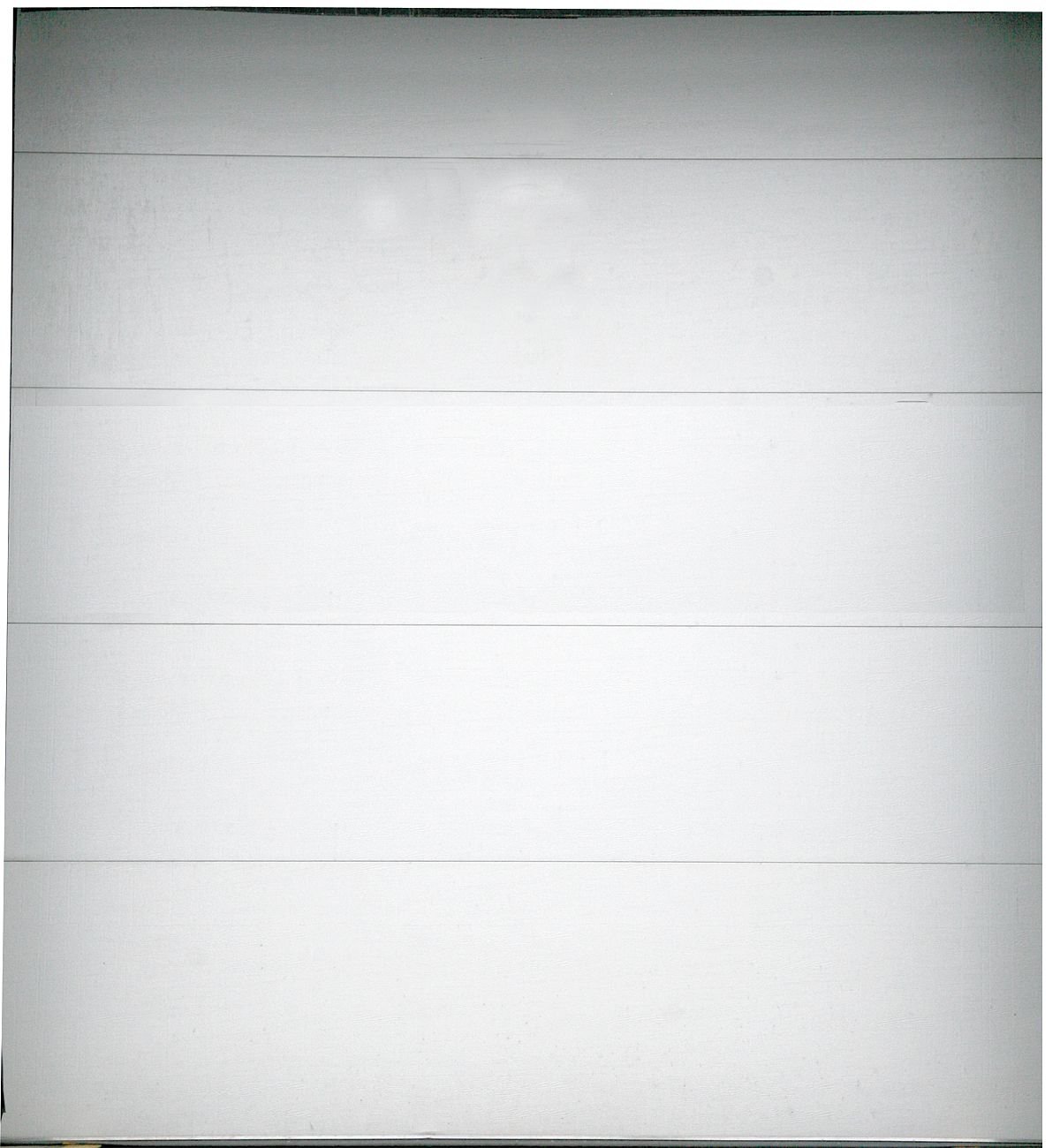 American Garage Door
