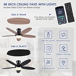 BYKISTOK 48 Inch Ceiling Fan with Light, Black