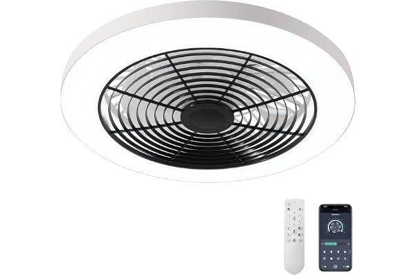 Ceiling Fans