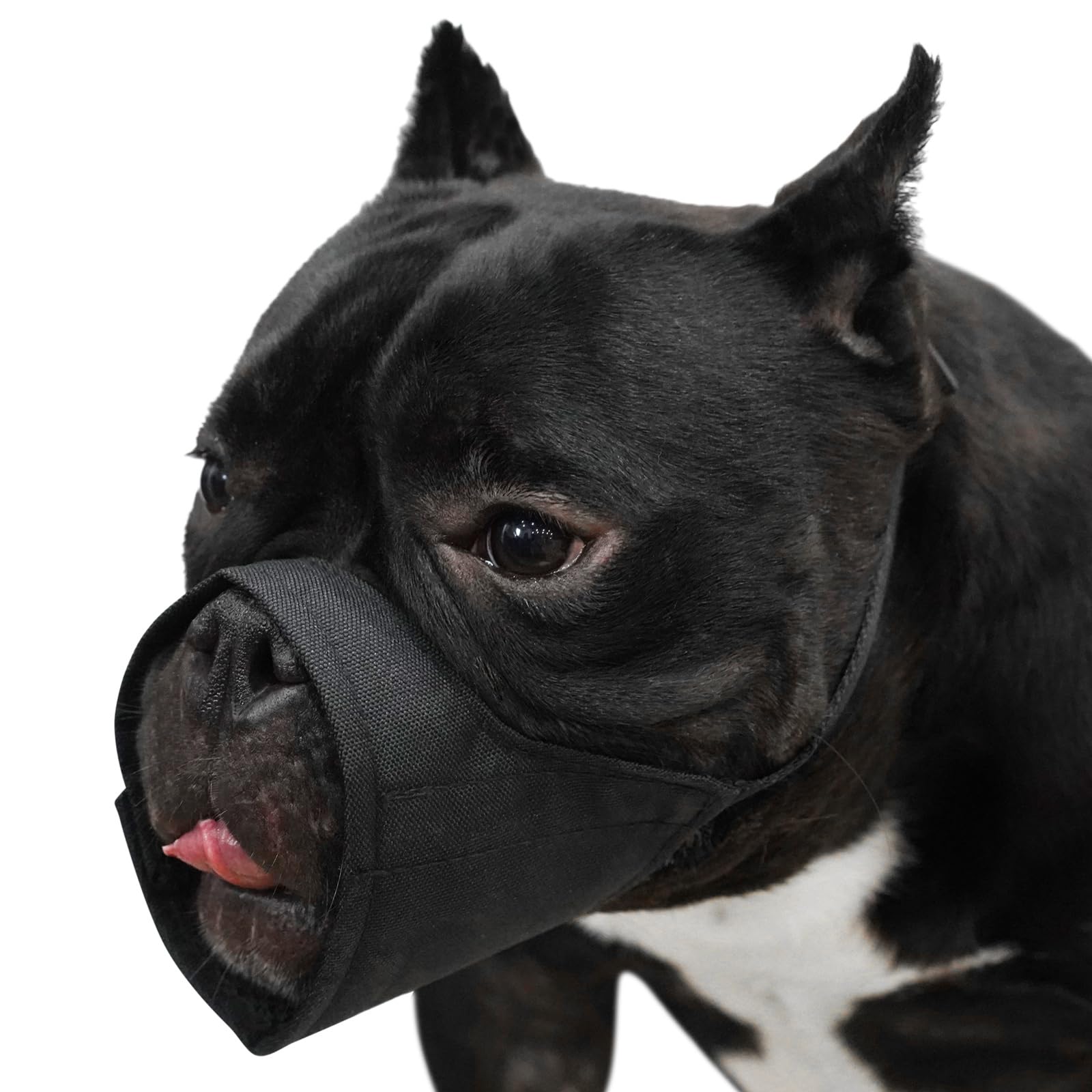 Short Snout Dog Muzzle, Soft Muzzle for Small Medium Large Dog, Muzzle for Chihuahua Shih Tzu American Bulldog Pitbull for Grooming Walking, Durable Oxford Dog Mouth Guard Anti Biting Chewing Barking