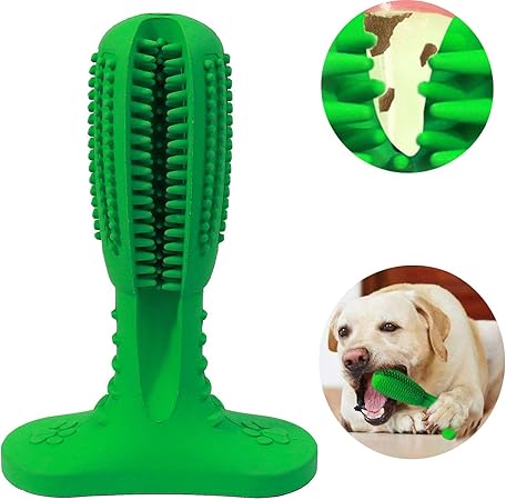 royal canin recovery cat