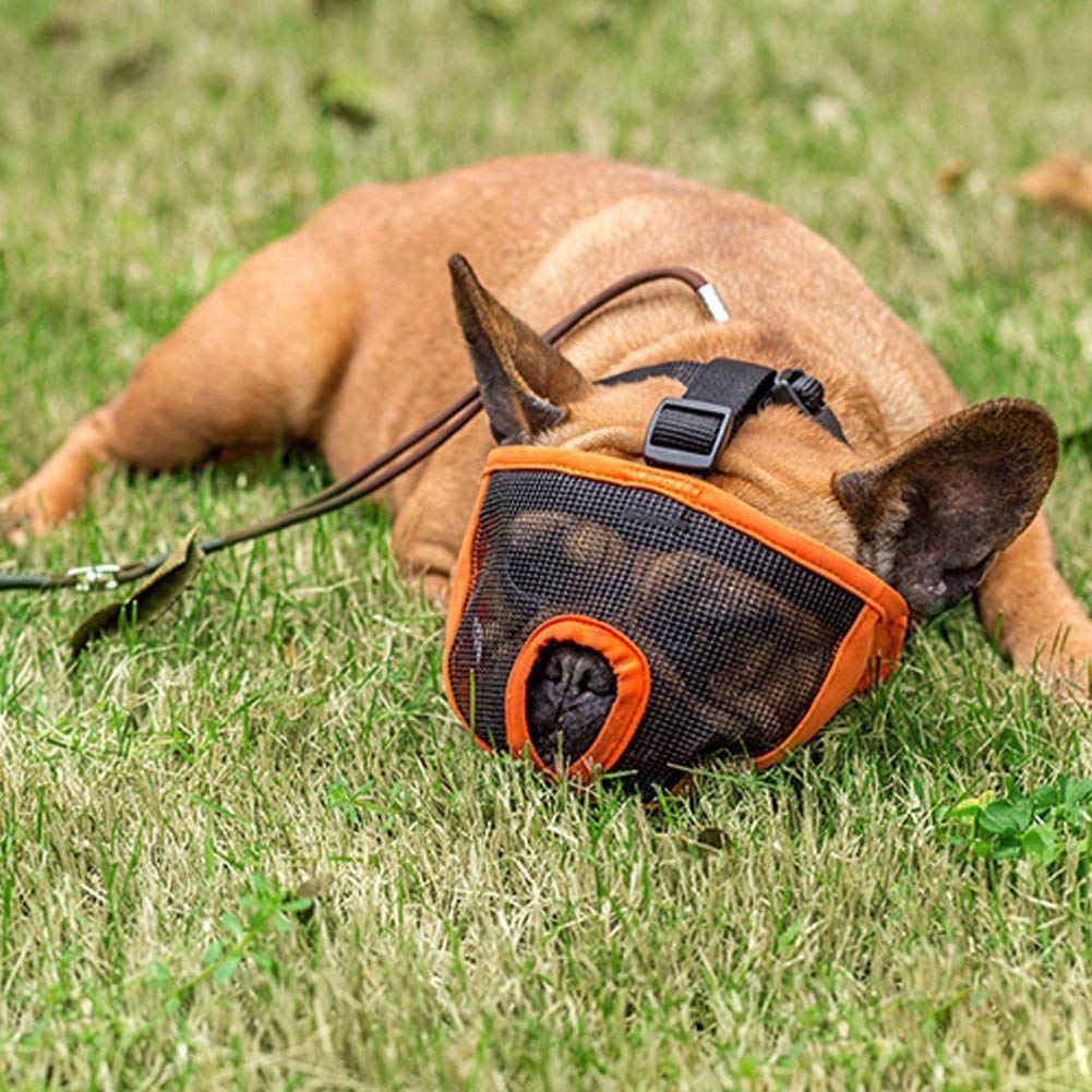 kumfi calmer dog lead