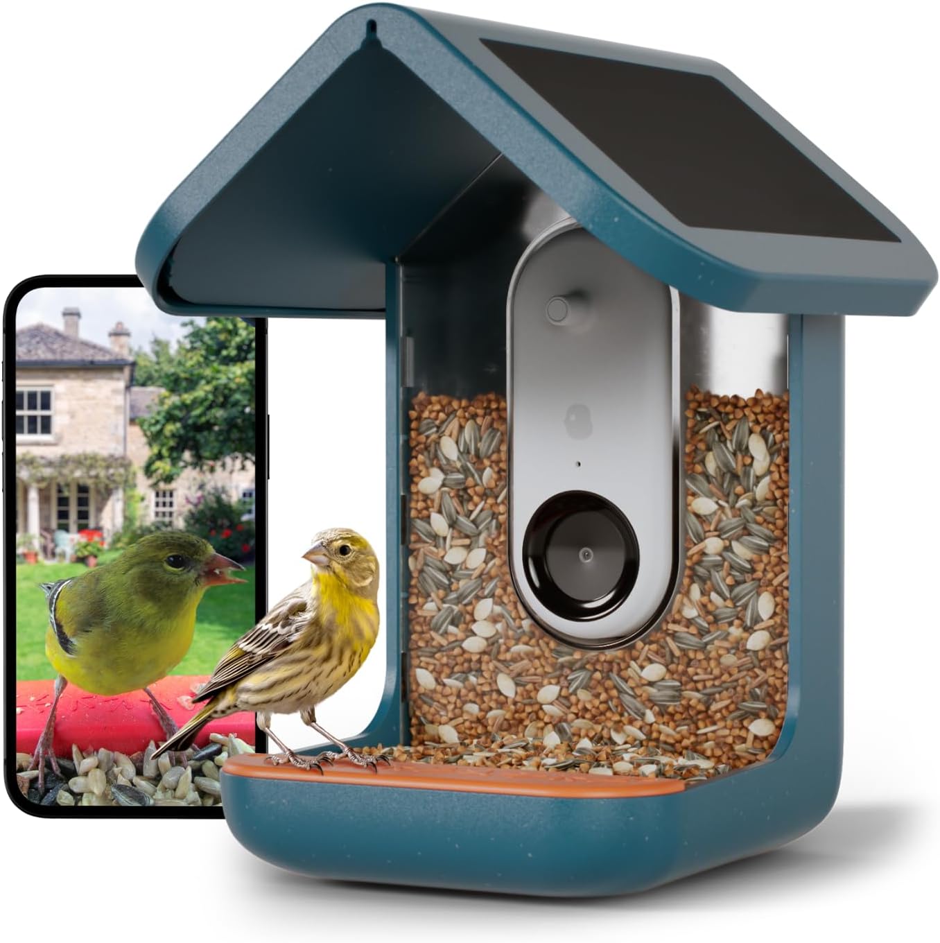 Backyard Birding & Wildlife - BIRD BUDDY® Original Smart Bird Feeder with Camera Solar Powered. High Resolution AI Bird Feeder Camera for Beautiful Close-up Shots and a Unique Bird Watching Experience