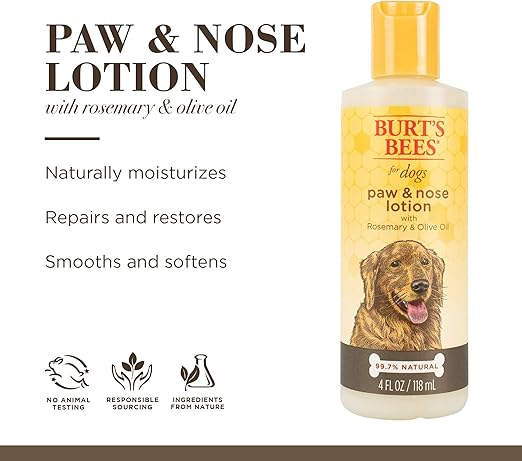 burt's bees dog lotion